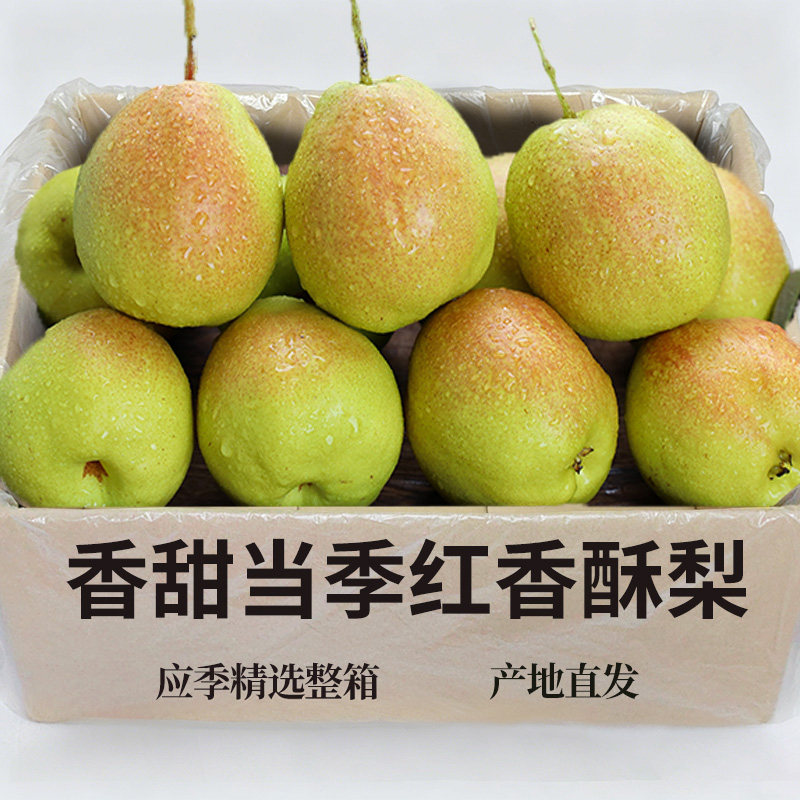 正宗红香酥梨应季水果新鲜现摘红皮梨香脆甜薄皮无渣酥梨蜜梨