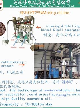 辣木籽油生产线 辣木籽榨油设备 辣木籽榨油机 moringa oil line