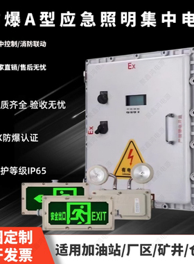 A型防爆应急照明集中电源IP65应急灯疏散指示牌24V/36V智能指示灯
