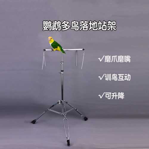 洪屿鹦鹉训鸟三脚伸缩站架