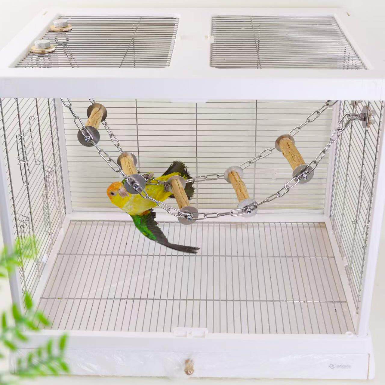 洪屿鹦鹉野梨木不锈钢爬梯云梯鸟笼啃咬玩具鸟用品秋千解闷自嗨