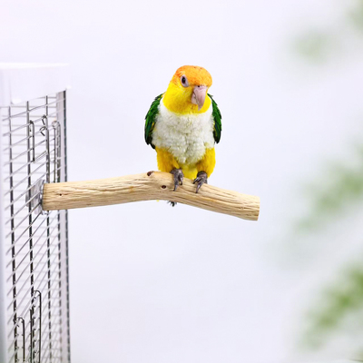 洪屿鹦鹉野梨木站杆T字造型原木鸟站杆磨嘴磨爪啃咬玩具解闷自嗨