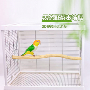 洪屿鹦鹉站杆野梨木站杆宠物鸟站架自然实木啃咬解闷 定制款
