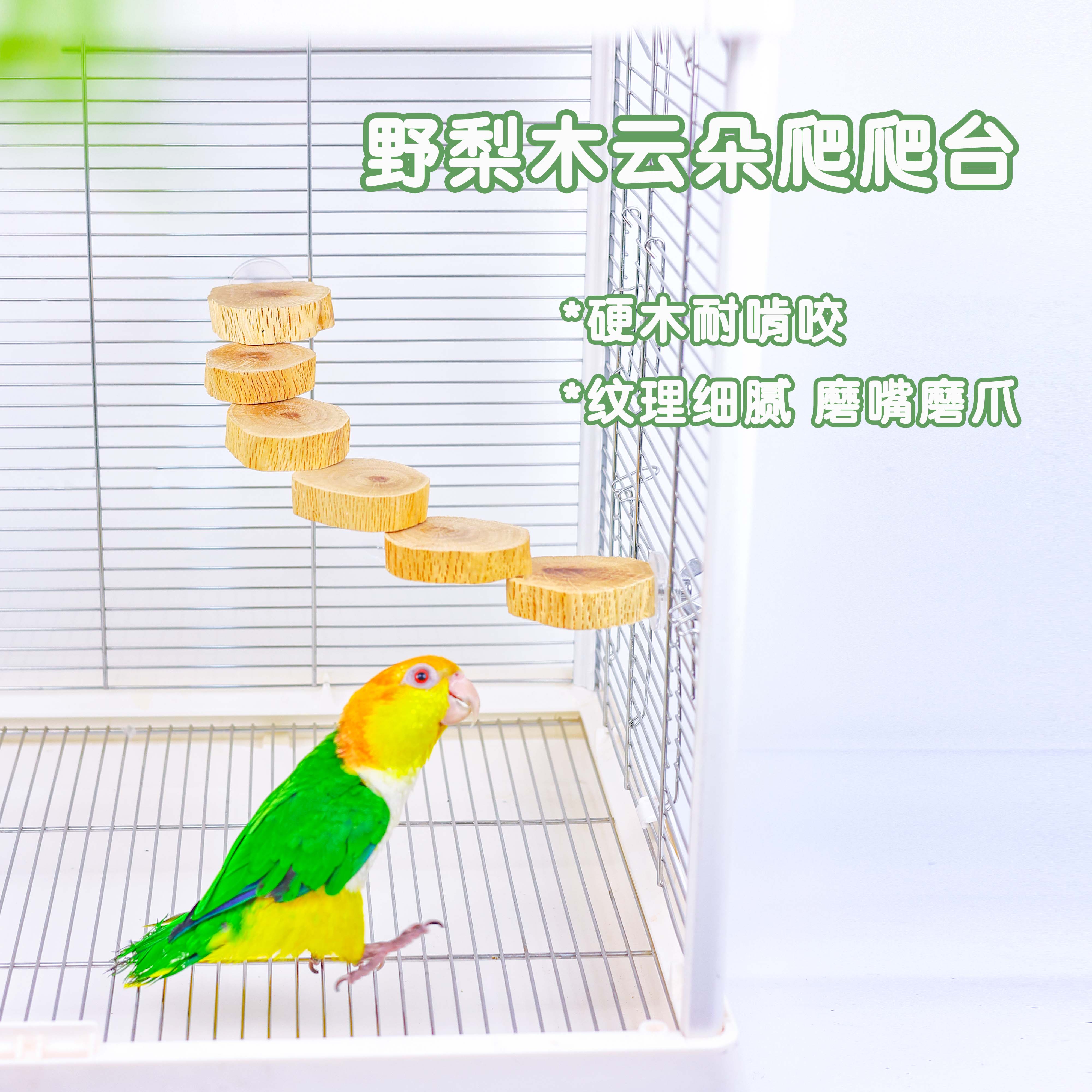 鹦鹉玩具野梨木实木站架爬梯