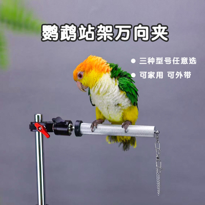 鹦鹉多功能支架站棍站杆磨嘴磨爪