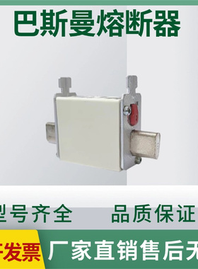 巴斯曼 80NHG000B 全新原装现货 快速熔断器 电子元器件直销