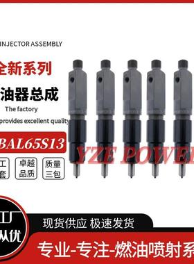 KBAL65S13喷油器适用道依茨发动机F3L912F4L9122233085喷油泵