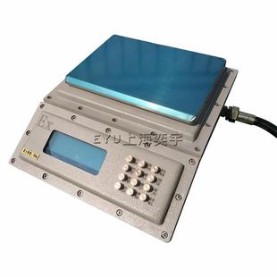隔爆型整机防爆桌秤等级EXDIIBT6Gb电子秤6kg0.2g15公斤案称