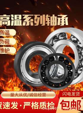 丹洋高速耐高温轴承63166317ZZ
