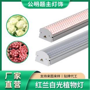 T20多肉补光灯家用上色全光谱LED植物生长灯仿太阳光兰花卉水草