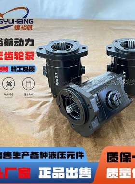 SAUERDANFOSS液压泵山猫滑移机A16L36006齿轮泵A20L36006油泵