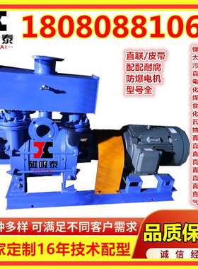 2BEA/13/C153水环式真空泵18.5KW水循环真空泵10M3/min液环真空泵