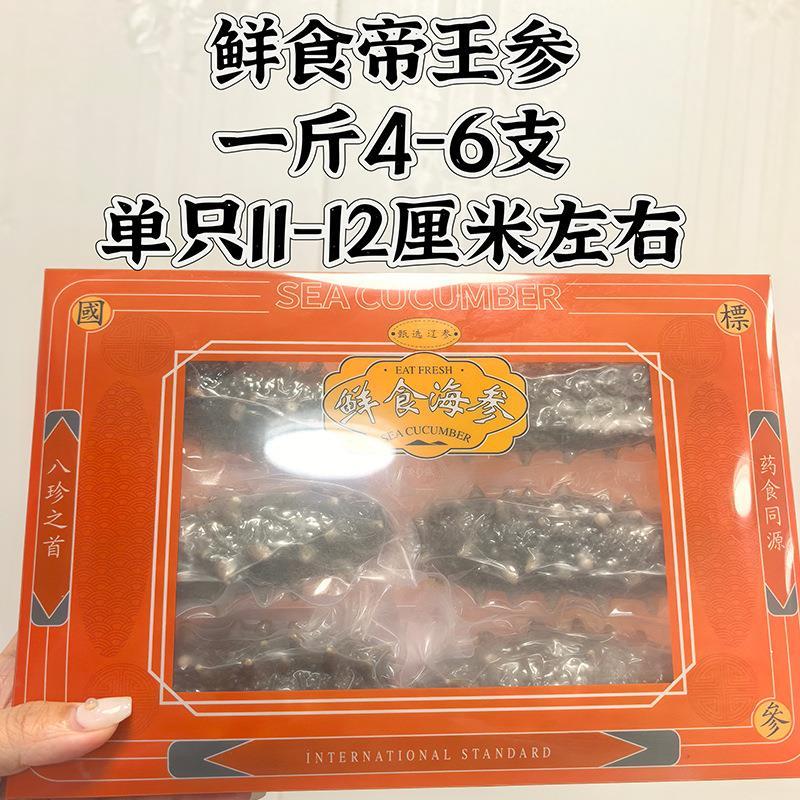 现货特惠大连鲜活辽参海参鲜食海参500g即食海参刺参辽宁海参