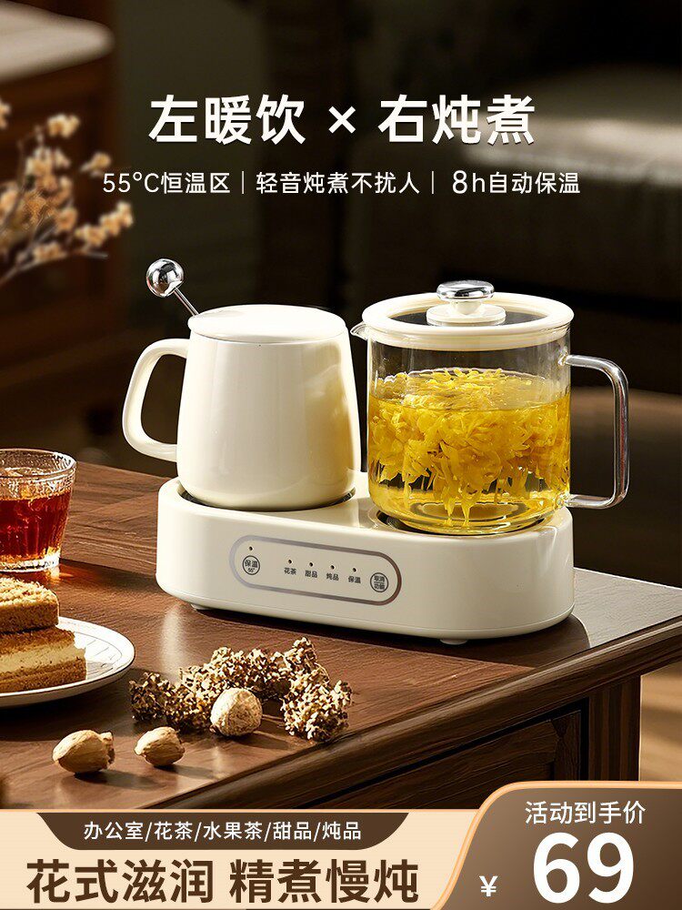 健康壶迷你办公室小茶机多功能家用全玻璃花茶壶电炖杯双炉