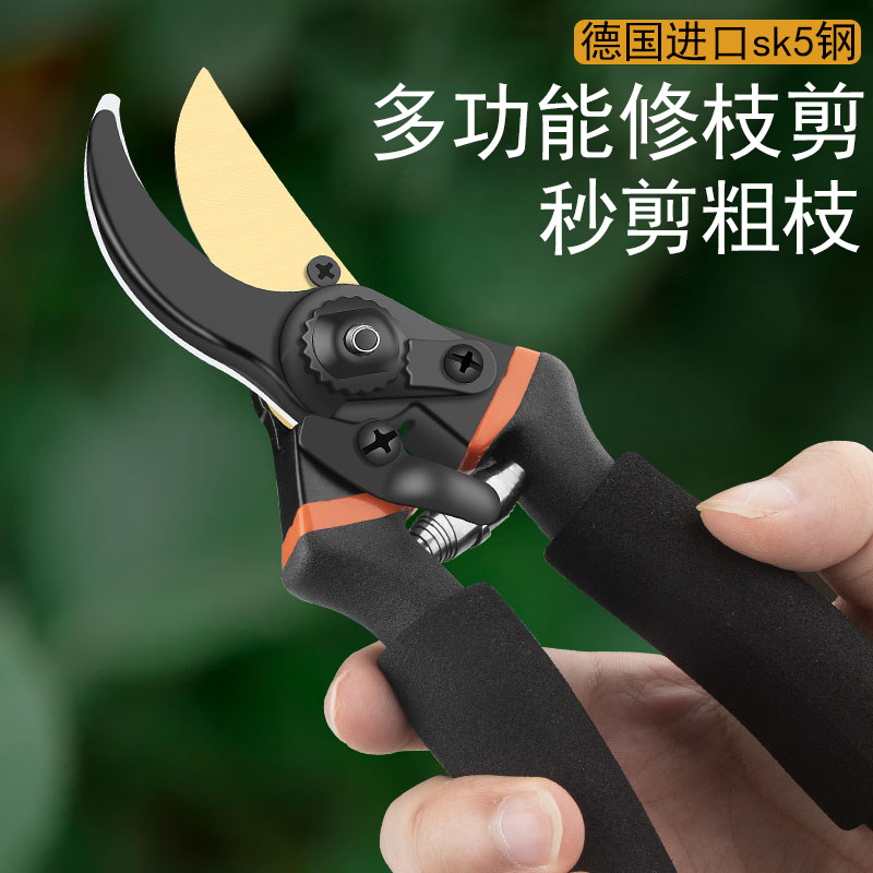 日本进口SK5修枝不锈钢树剪剪枝嫁接剪刀家用剪树枝修花剪刀剪刀