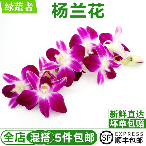 新鲜洋兰花250g 杨兰花马兰花 西餐火锅酒店摆盘装饰点缀花草鲜花