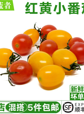 红黄小番茄450g双色新鲜圣女果