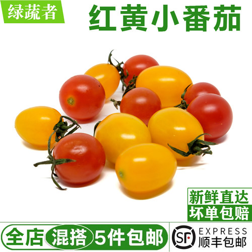 红黄小番茄450g双色新鲜圣女果