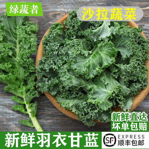 顺丰发货新鲜羽衣甘蓝蔬菜