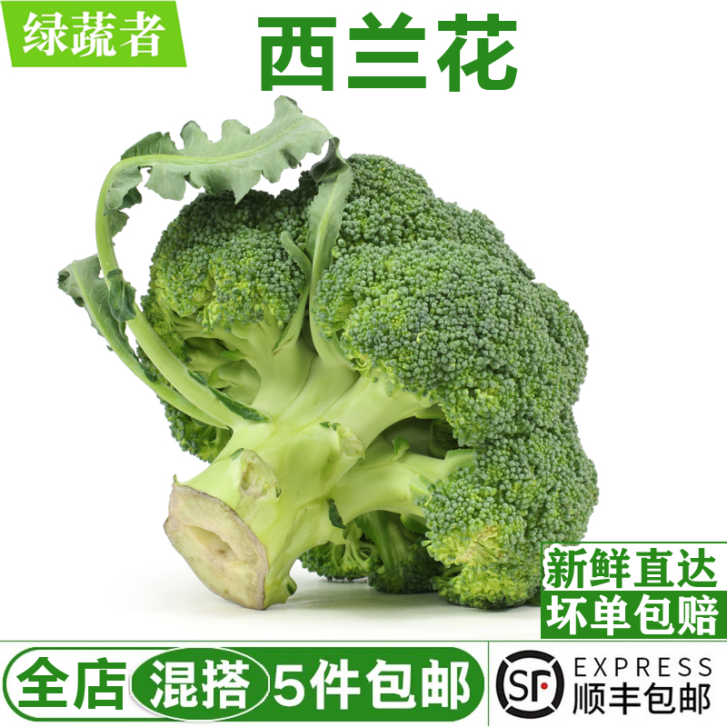 西兰花500g 新鲜西蓝花椰菜青花菜西餐沙拉配菜食材农家蔬菜