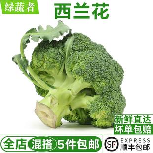 西兰花500g 新鲜西蓝花椰菜青花菜西餐沙拉配菜食材农家蔬菜