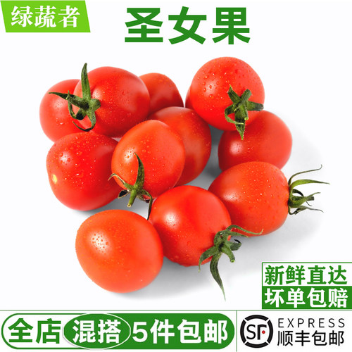 圣女果450g 樱桃小番茄沙拉食材应季新鲜蔬菜水果 满5件包邮