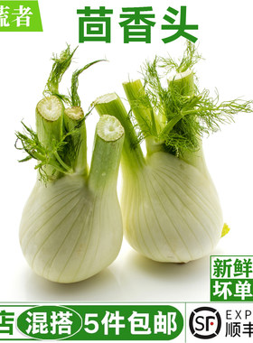 茴香头500g 球茎茴香根西餐调味料理配菜香料新鲜茴香菜蔬菜