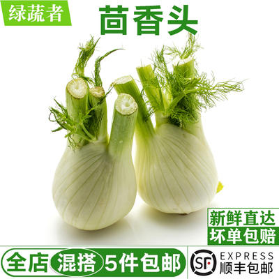 茴香头500g 球茎茴香根西餐调味料理配菜香料新鲜茴香菜蔬菜