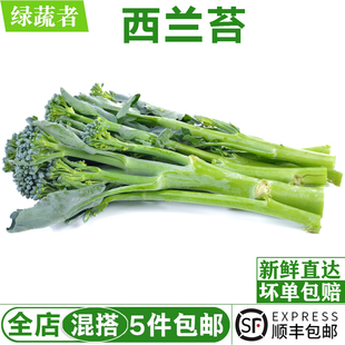 新鲜西兰苔500g 青花苔西兰花农家新鲜蔬菜手指西兰花苔时令蔬菜