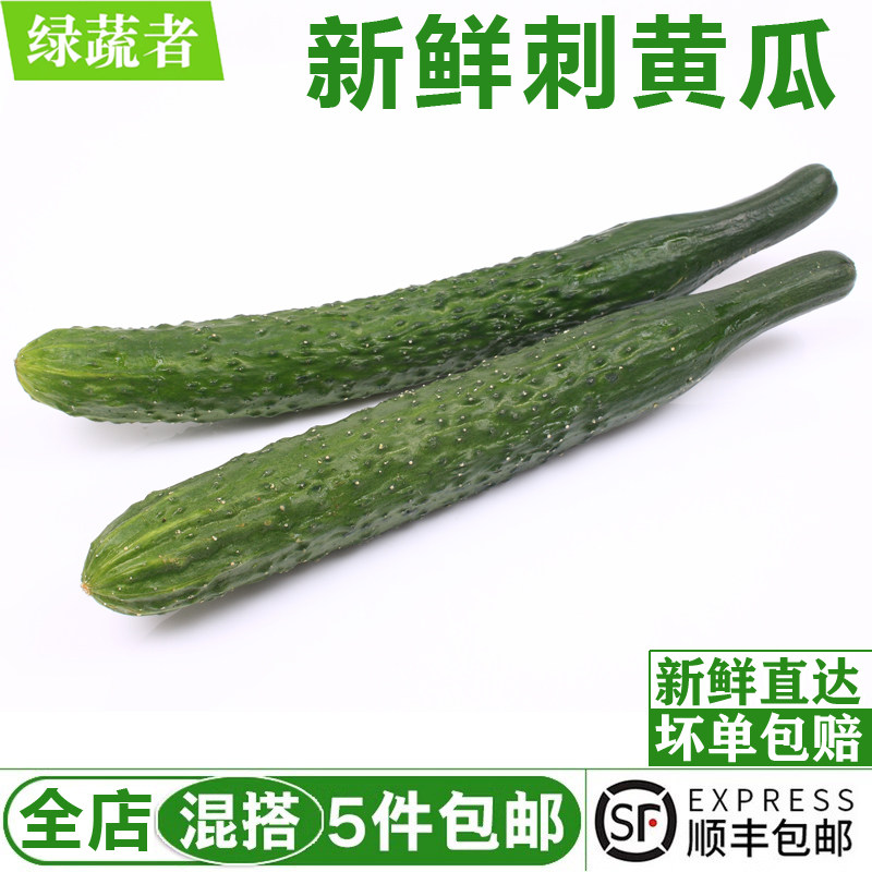 新鲜带刺黄瓜500g 大黄瓜长黄瓜水果黄瓜刺黄瓜生吃蔬菜沙拉食材