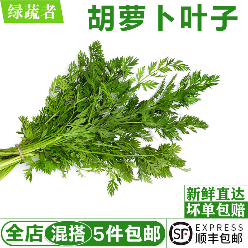 新鲜胡萝卜叶子500g 萝卜缨子现摘萝卜叶新鲜蔬菜胡萝卜叶,水产肉类/新鲜蔬果/熟食,萝卜/胡萝卜,淘宝优惠券,粉丝福利购,淘宝优惠卷