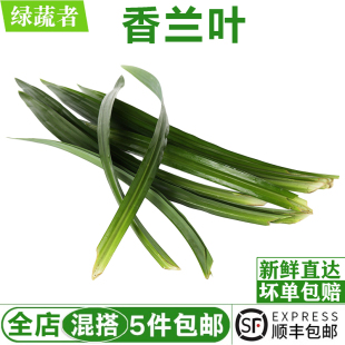 斑斓叶新鲜食用500g 香兰叶班兰叶千层蛋糕原料烘焙奶茶调料香料