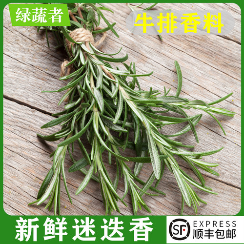 新鲜迷迭香煎牛排香料西餐调料