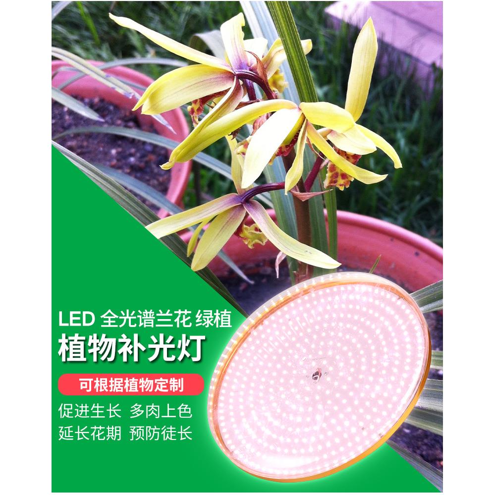 亿加兰花植物补光灯全光谱LED多肉上色绿植花卉植物生长灯50W室内