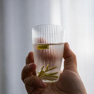 竖条纹玻杯功茶杯小夫茶品茗杯y绿茶茶具主人璃创意耐热高颜值水
