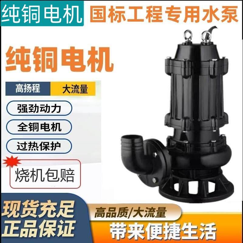 国标大口径排污泵大功率380v专用高扬程大流量农田灌溉泥浆抽水泵