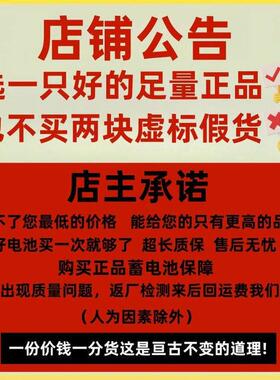 BT-12M24AT赛特蓄电池12V7AH5AC10 12 17 24 38消防报警主机备用