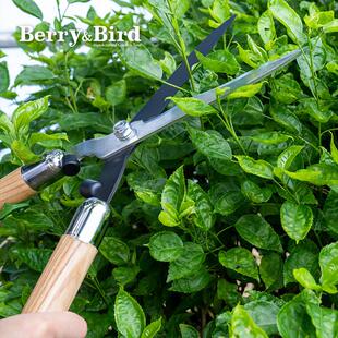 BerryBird园艺绿篱剪草坪修剪粗枝花艺果树大剪刀家用园林绿化带