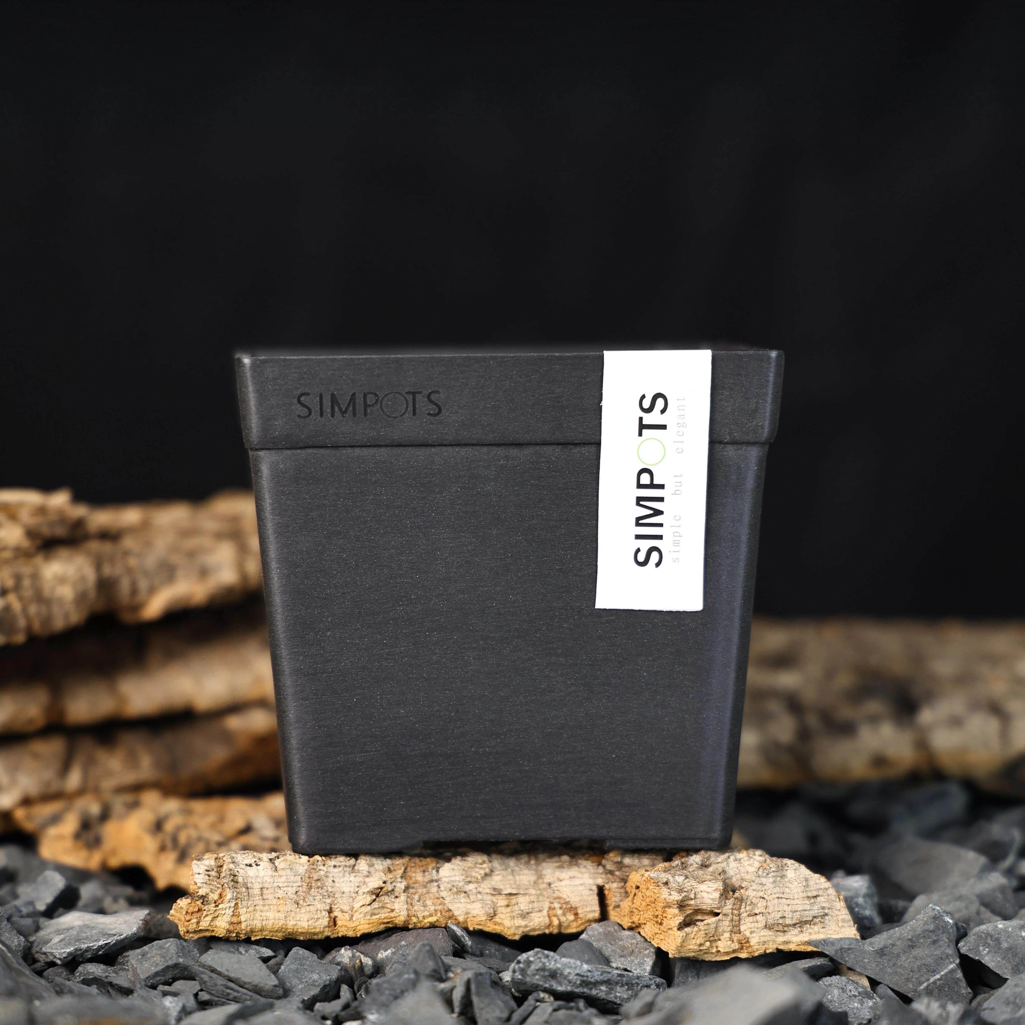 【朴原】SIMPOTS森宝原生造景盆园艺块根植物实用潮酷多肉花盆