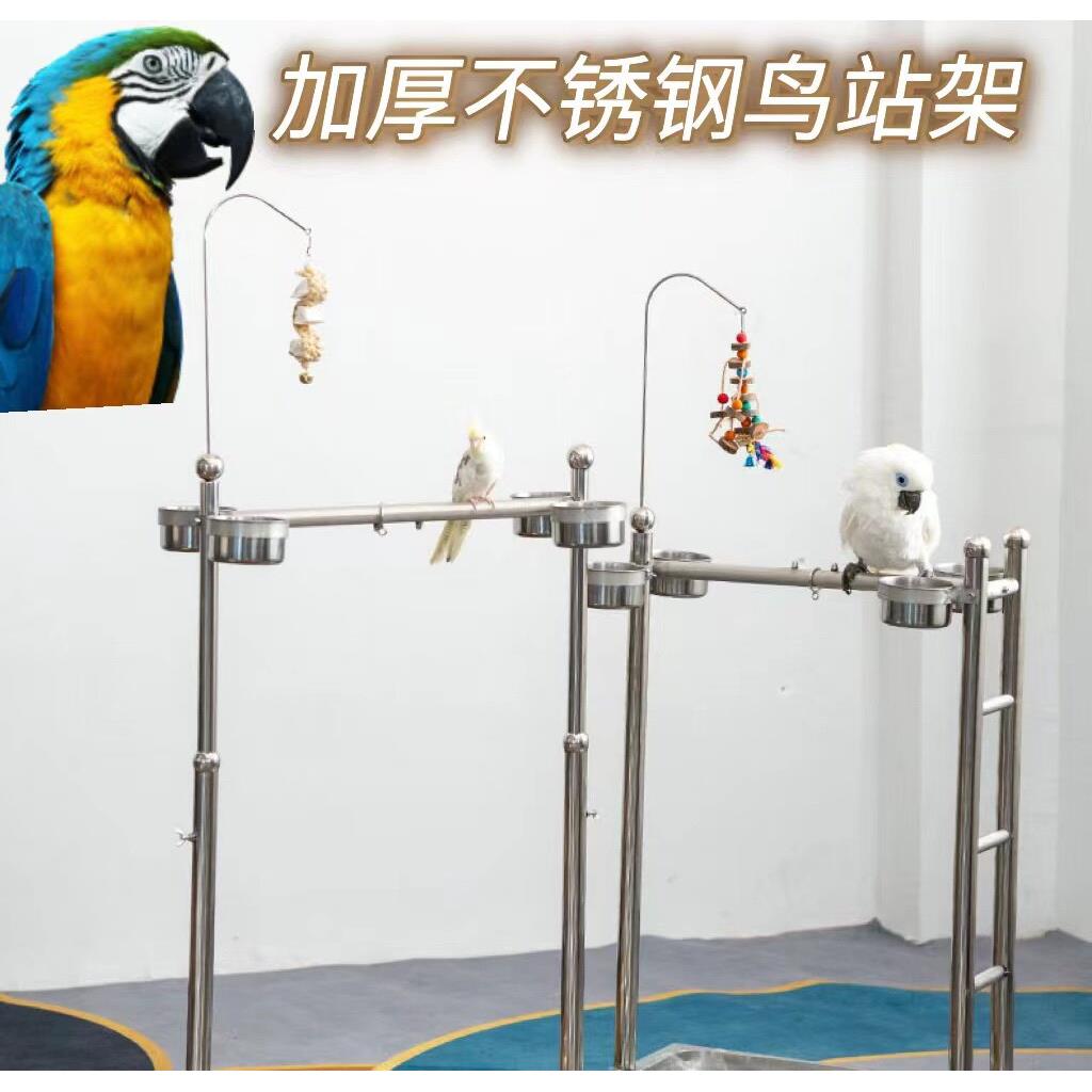 鹦鹉用品大中小型鹦鹉升降架不锈钢站架鹦鹉鸟站架磨爪磨嘴站杆