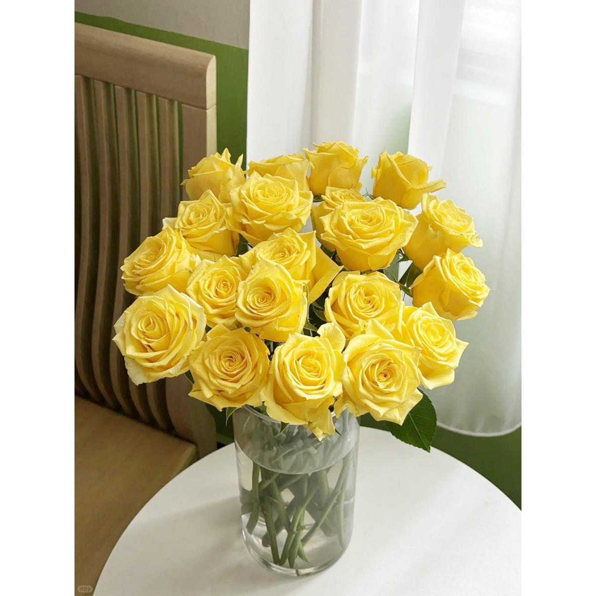 金枝玉叶黄玫瑰的故事玫瑰鲜花云南直发插瓶花束粉色玫瑰花鲜切花