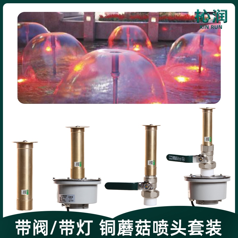 蘑菇喷头带PPR阀门LED水下灯低压七彩灯暖光灯水景景观喷泉组合套