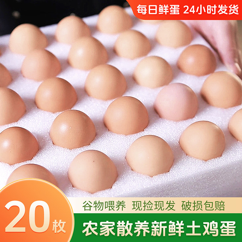 农家散养正宗土鸡蛋20枚大码50g新鲜鸡蛋谷物喂养现捡现发柴鸡蛋,水产肉类/新鲜蔬果/熟食,鸡蛋,淘宝优惠券,粉丝福利购,淘宝优惠卷