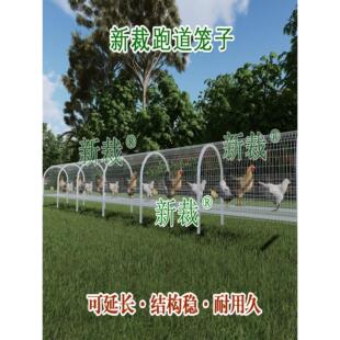 隧道鸡笼走地鸡跑道笼子鸡跑道笼养鸡笼户外电焊网鸡专用笼子离地