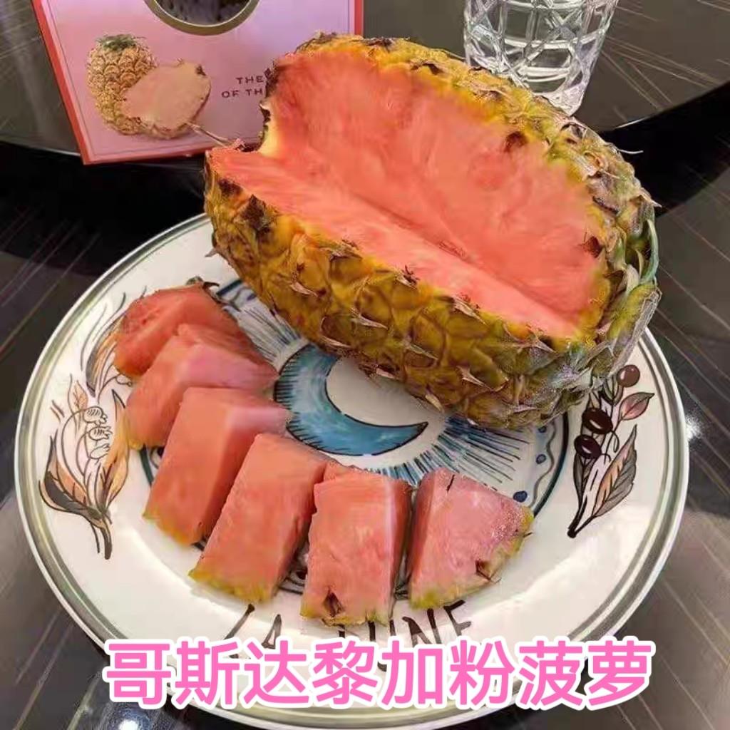 哥斯达黎加品种粉色菠萝凤梨高端孕妇水果礼盒新鲜水Pinkglow凤梨