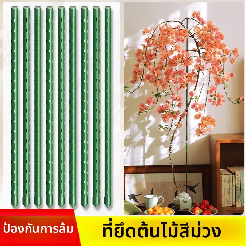 三角梅高飘支撑杆月季爬藤架子花架固定器绿植物防倒伏花卉支撑架