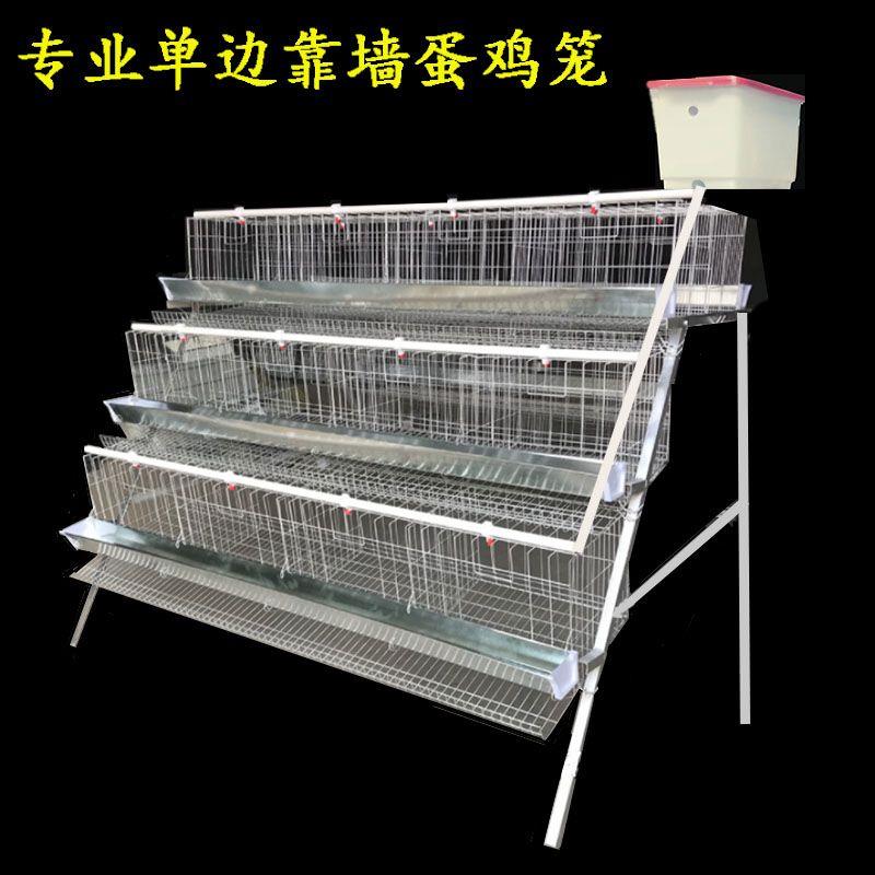 加粗鸡笼单层双层蛋鸡笼子养殖场鸡笼养殖笼三层家用自动滚蛋鸡笼