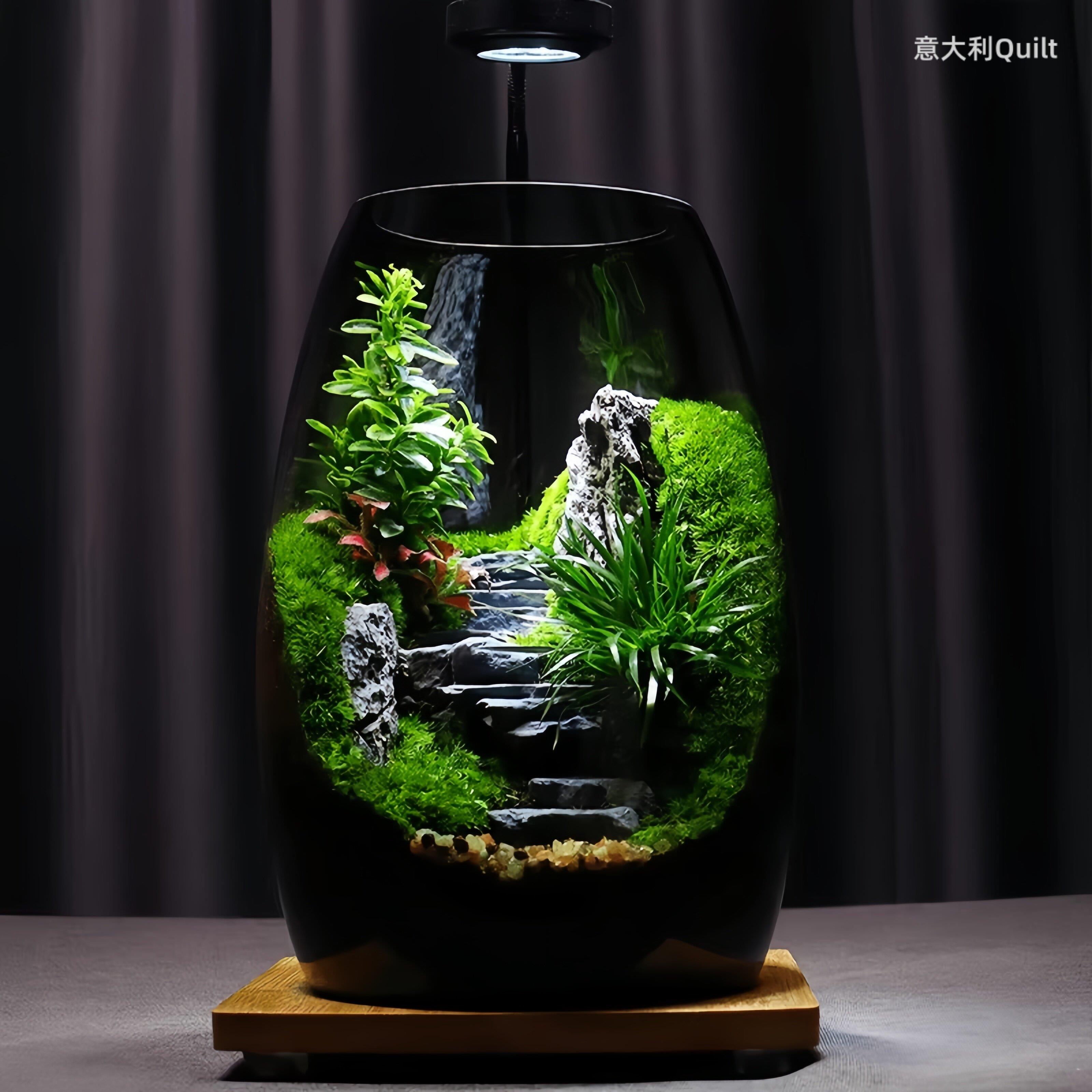 桌面苔藓微景观生态瓶造景植物雨林创意小摆件森林玻璃养鱼生态缸