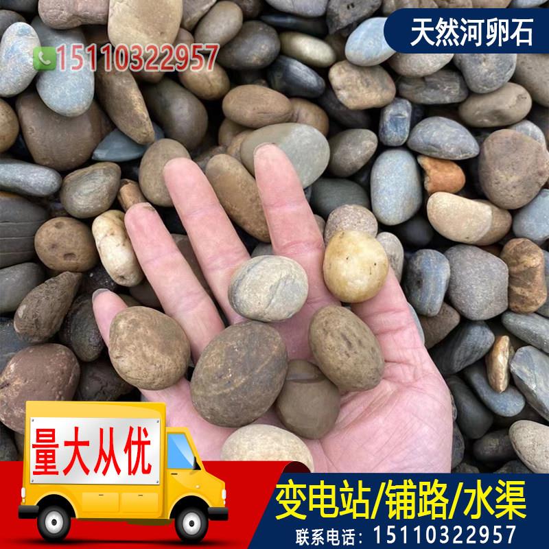 江苏河卵石铺路大号河卵石黑白石头原石鱼缸装饰天然鹅软暖石