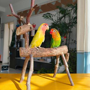 鹦鹉桌面创意站架花椒木站杠牡丹站台训练栖息木原木树枝玄凤架子